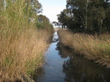 Xarxa natura imagen: Xarxa natura