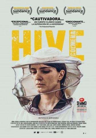 imagen: Hive (Colmena)